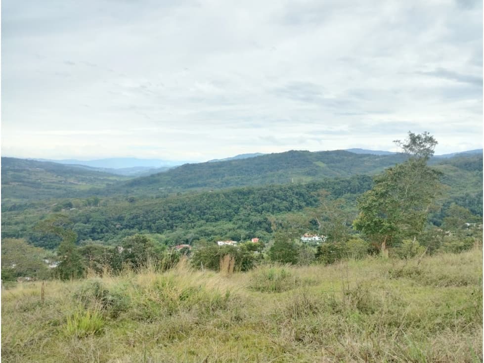 SE VENDE LOTE DE 24000 m², MONIQUIRA BOYACA - 1