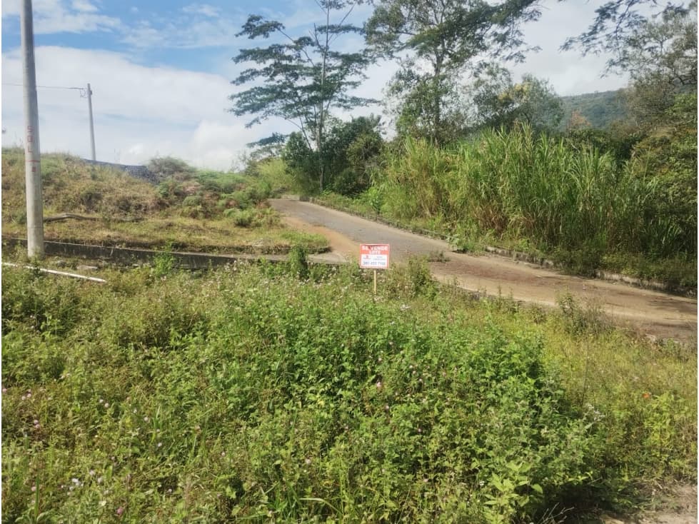 SE VENDEN LOTES VILLA SUSANA MONIQUIRA BOYACA - 1