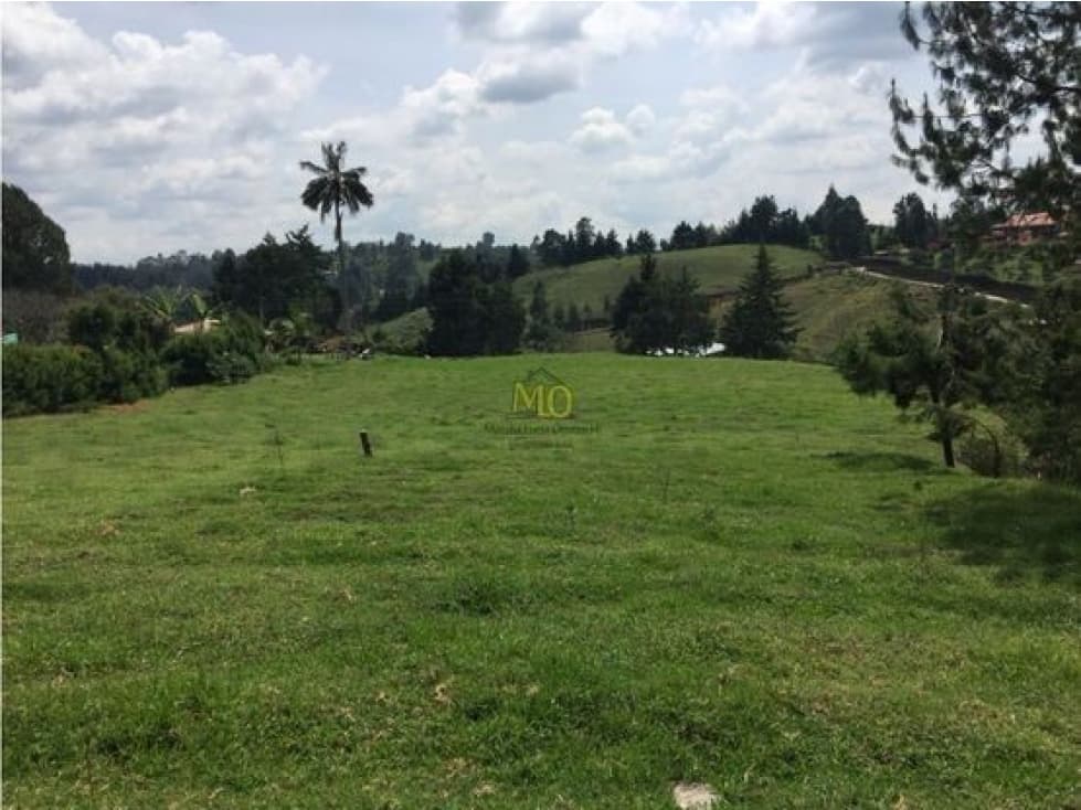 Venta Lote en Rionegro, 32.000 mts, sobre la vía, La Mosquita - 1