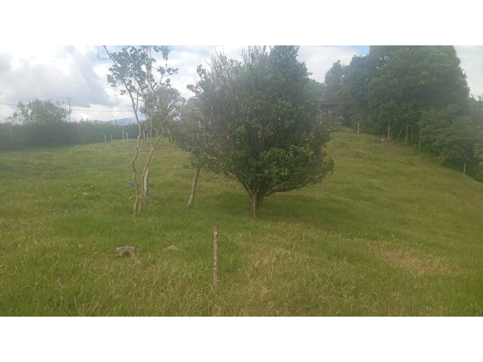 LOTES CAMPESTRES SECTOR LOS PINOS-INDEPENDIENTES - 1