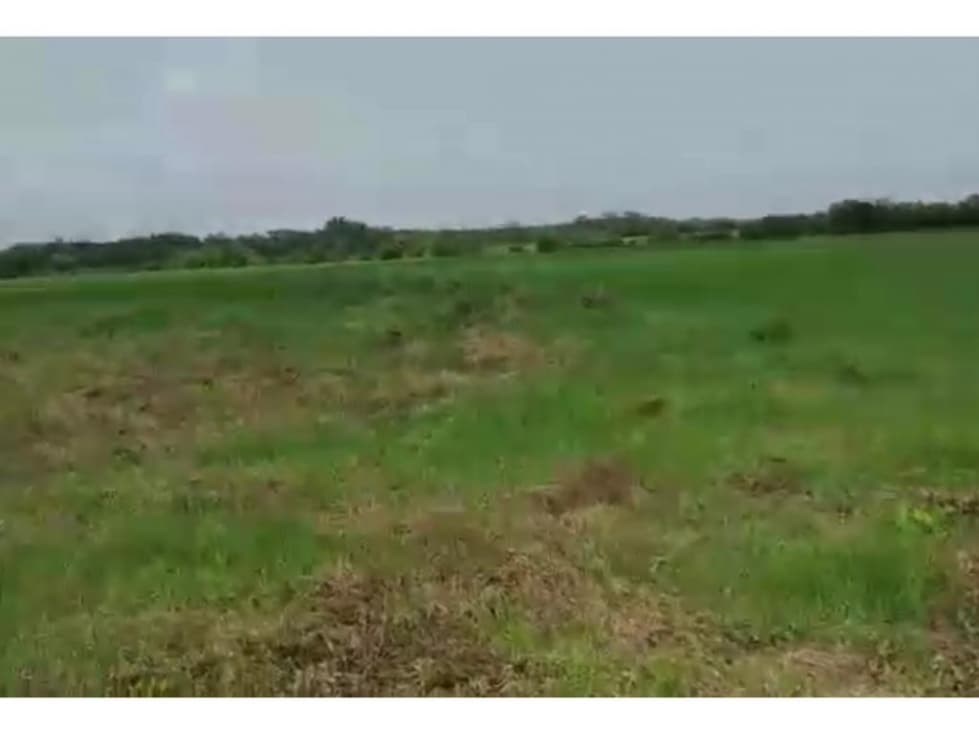 CASANARE 2 MANÍ AGUAZUL YOPAL FINCA GANADERA O ARROCERA 5,4 Has: - 1