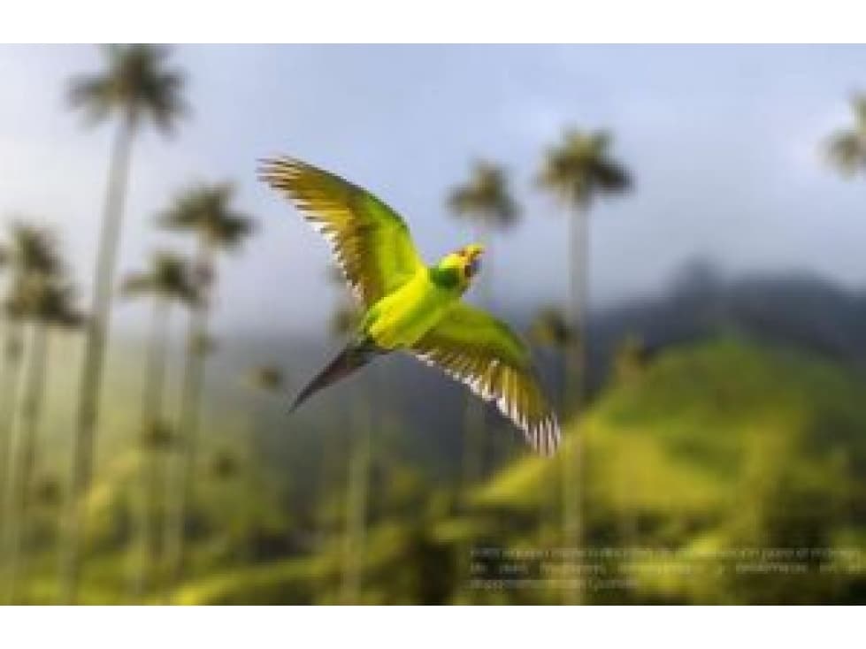 SALENTO CASA EN VENTA UN PARAÍSO EN LAS MONTAÑAS DEL QUINDIO - 1