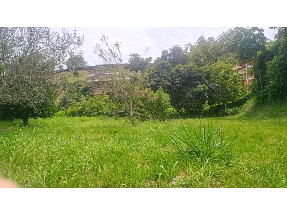 $125.000.000 COP? ¡Lote Campestre en Venta Vereda Palermo, Neira - 1
