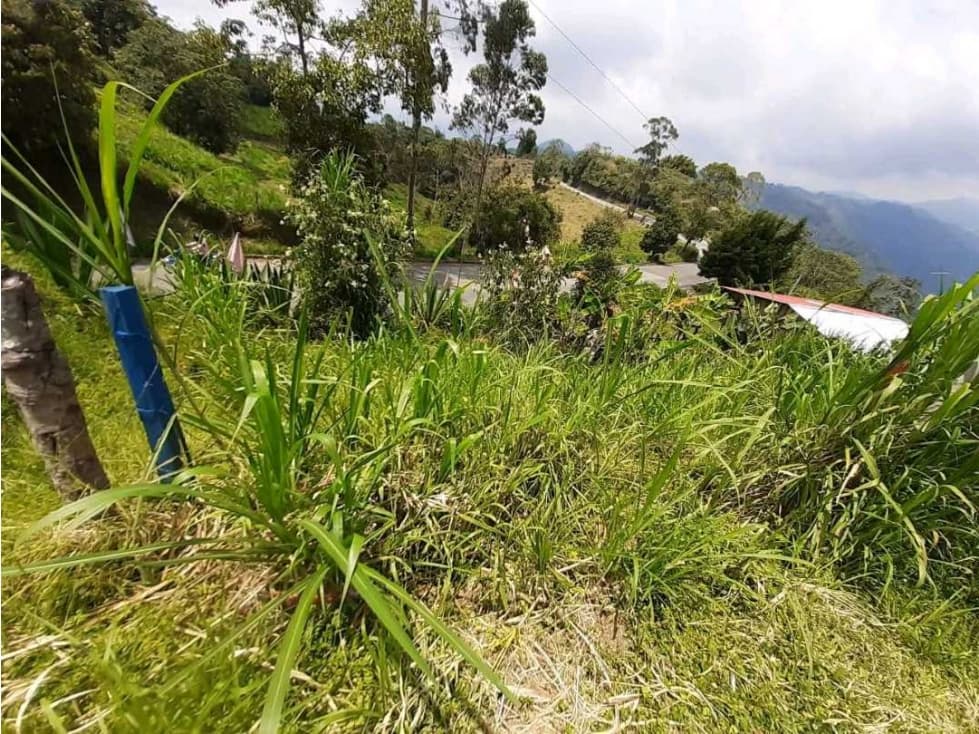 $55.000.000 ¡Lote a borde de vía en Fresno, Tolima! - 1