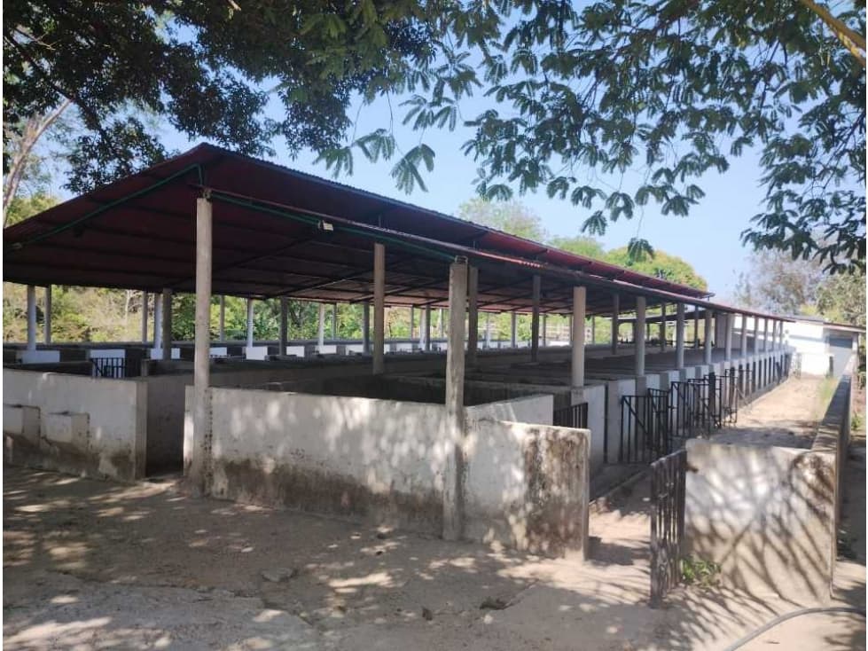 Amplia finca productiva de 48 hectáreas, sector 20 de octubre, masinga - 1