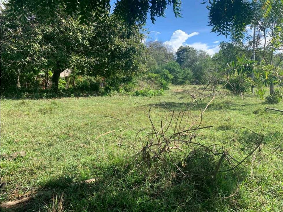 Aprovecha esta oportunidad única. Lote en venta en Arboletes Antioquia - 1