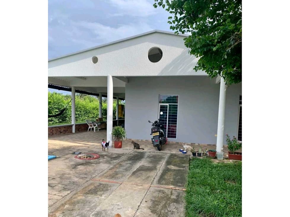 CABAÑA CAMPESTRE EN VENTA CORREGIMIENTO MORICHAL, BARRIO HATO VIEJO. - 1