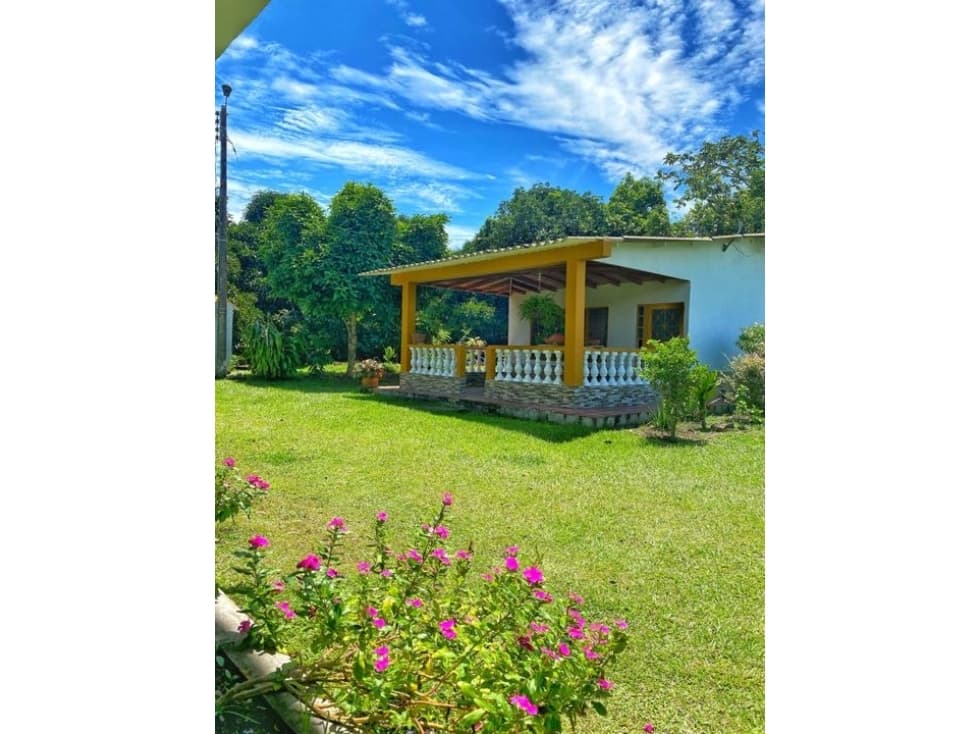 FINCA VENTA LA GUARDIA, MARIQUITA - 1