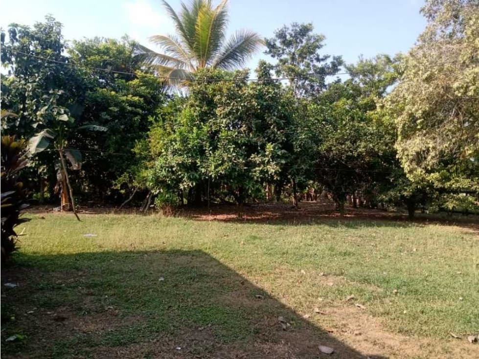 CASA FINCA EN VENTA EN CERETÉ CÓRDOBA - 1