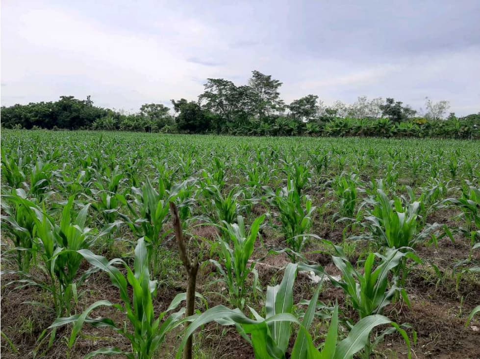 CASA FINCA EN VENTA EN CERETE CORDOBA - 1