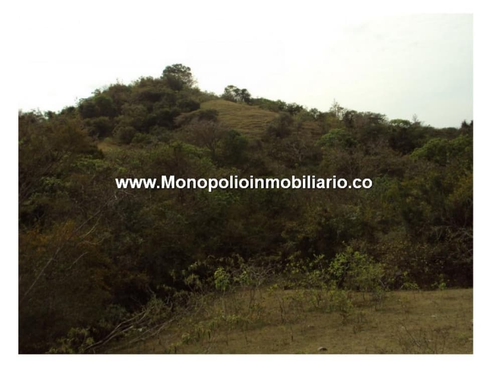 CASA FINCA EN VENTA - SECTOR LA NOQUE COD: 24822 - 1