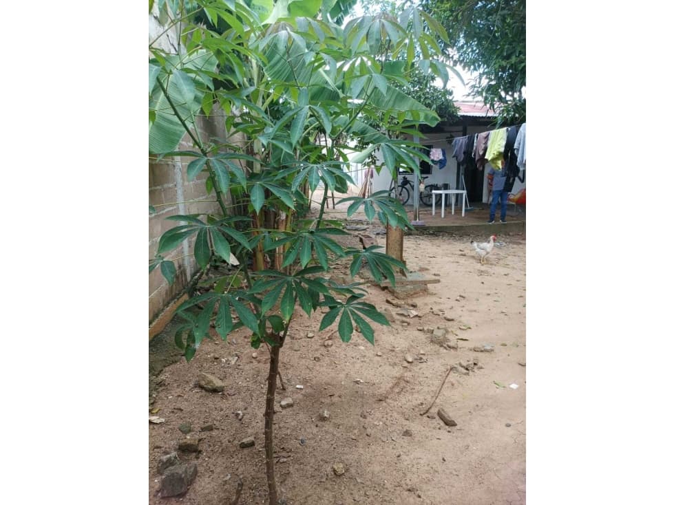 Casa Lote en Venta en Sahagún - 1