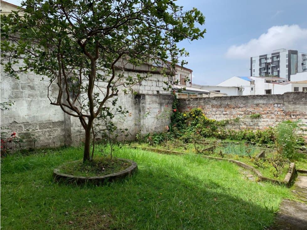 Casa Lote Palermo Manizales - 1