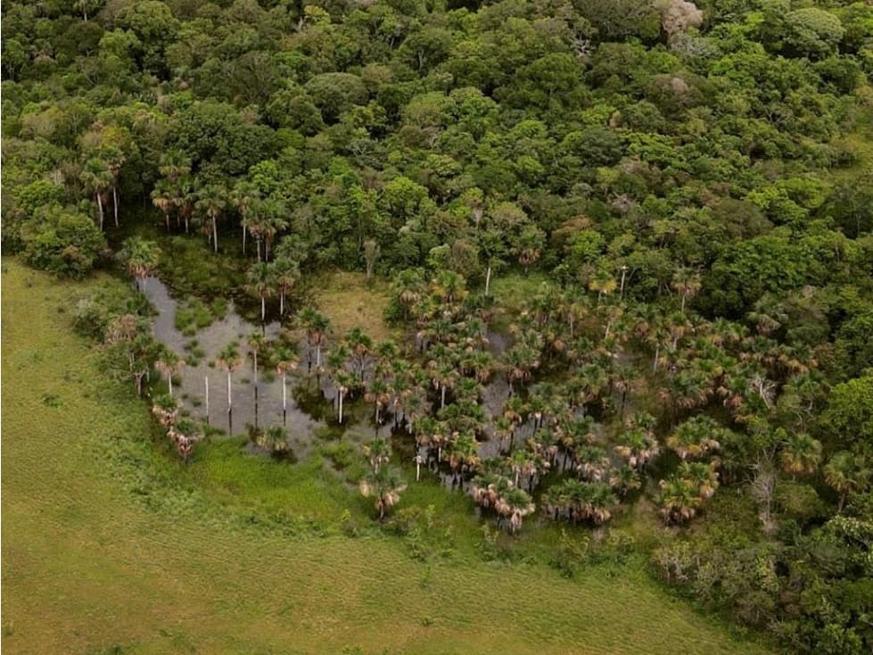 En venta finca 469 hectáreas en Puerto Gaitan - 1