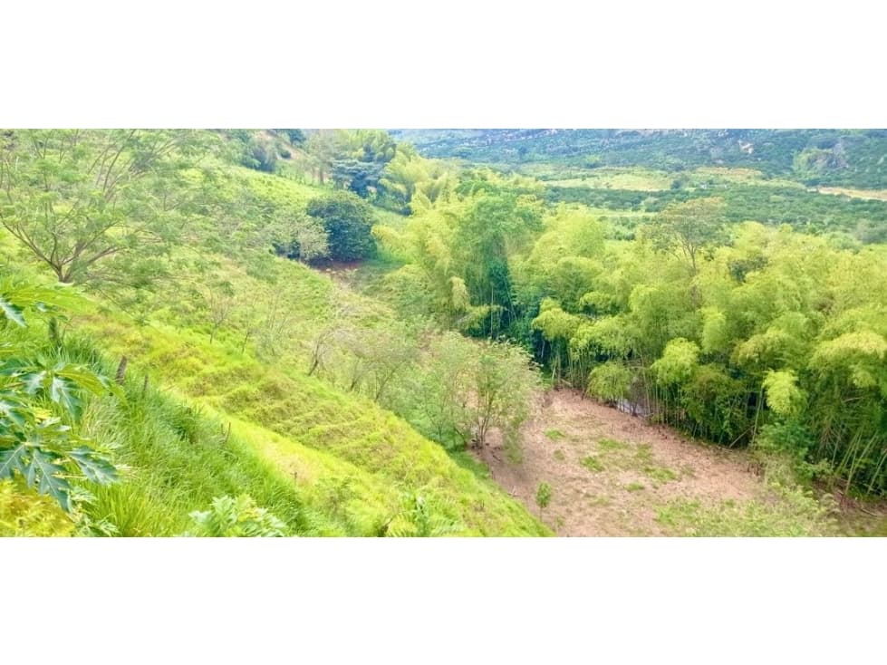 EN VENTA FINCA CON EXCELENTE UBICACIÓN TURÍSTICA EN BELALCÁZAR CALDAS - 1