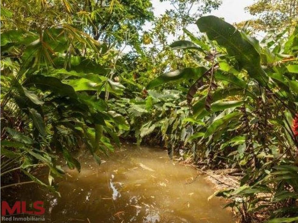 Encantador lugar, con un diseño artístico(MLS#238626) - 1