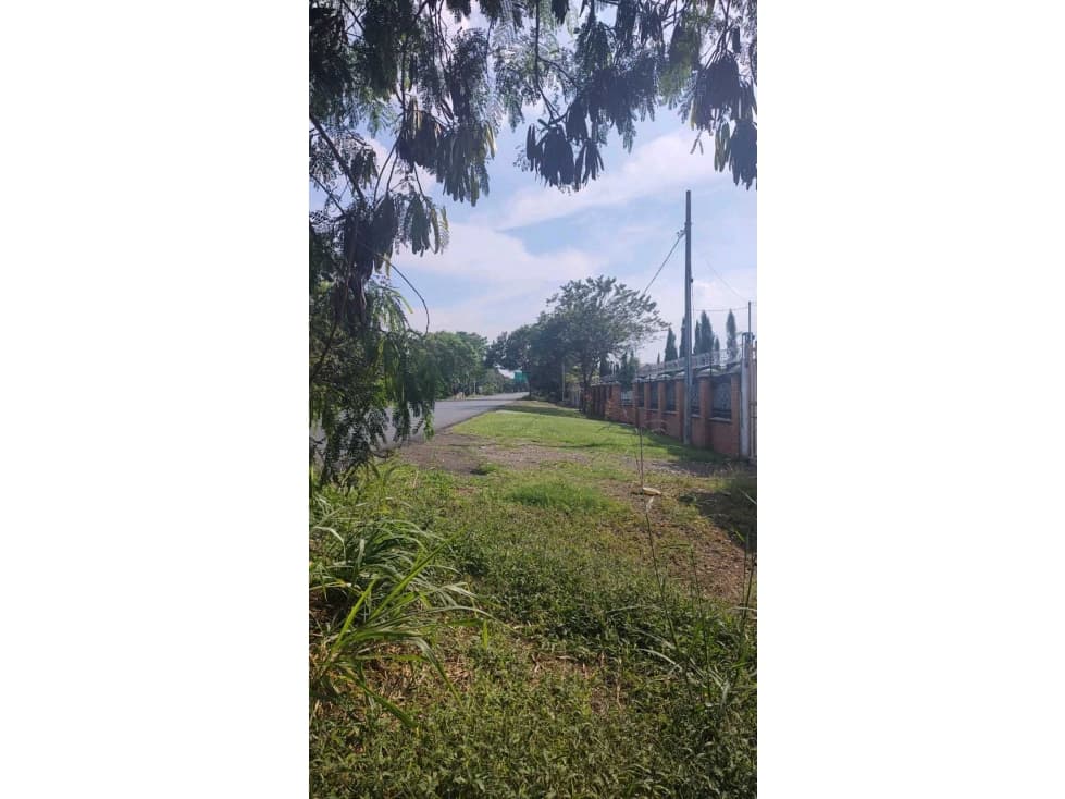 Espectacular finca! A 200 metros de la Tinaja. - 1