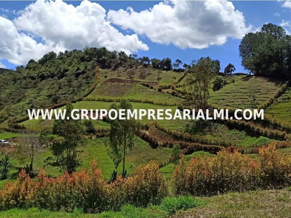 ESPECTACULAR LOTE EN VENTA - SECTOR CONCEPCIÓN ANTIOQUIA COD: 29778 - 1