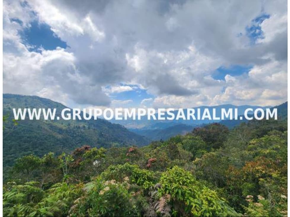 ESPECTACULAR LOTE EN VENTA - SECTOR LA MIEL COD: 29559 - 1