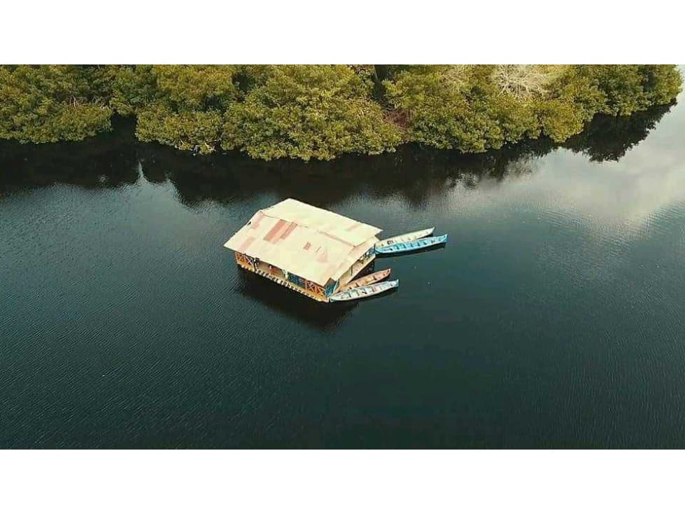 TOUR CIENAGA DE LA CAIMANERA COVEÑAS SUCRE - 1