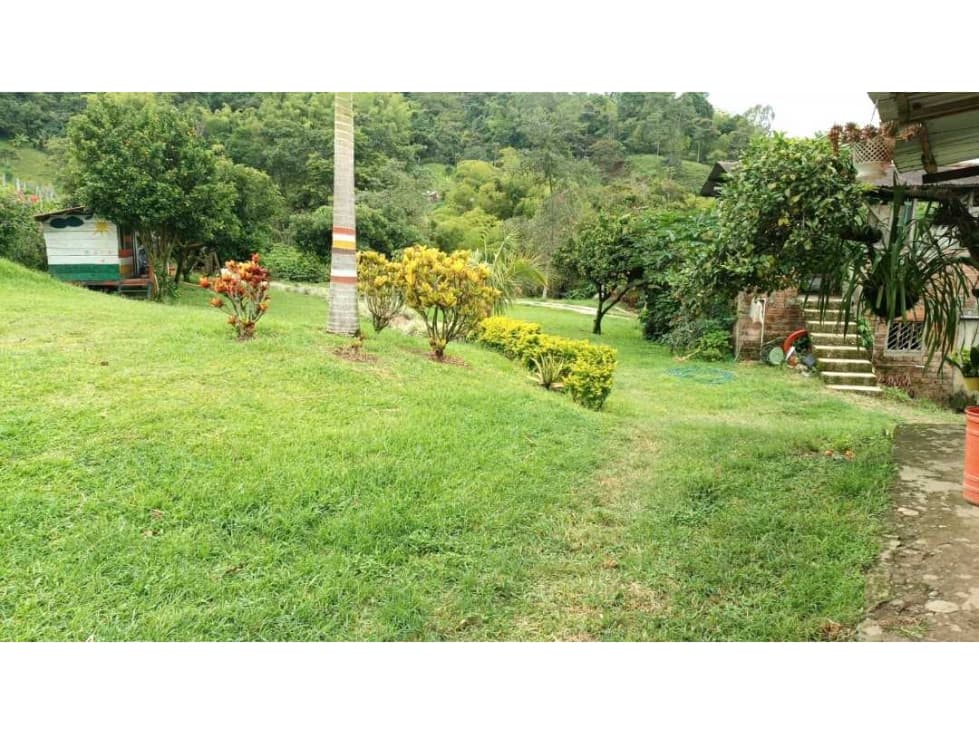 FINCA VEREDA PALO GRANDE - SALENTO - 1