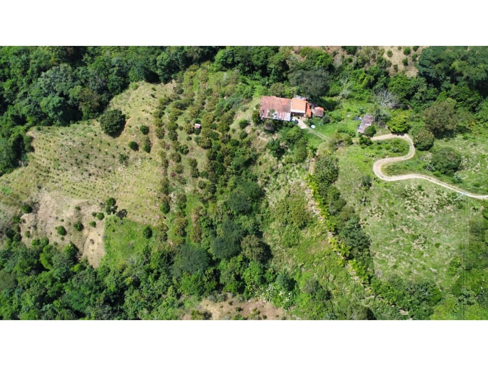 FINCA 15 HECTÁREAS LA VIRGINIA RDA - 1