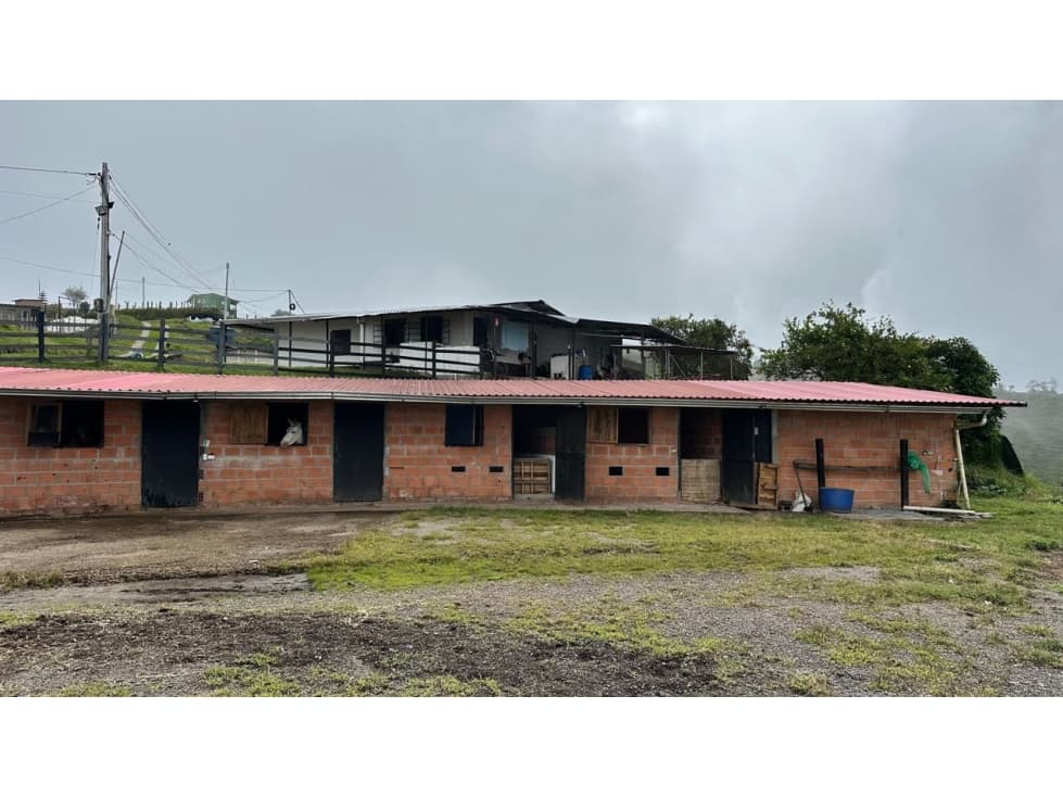 FINCA AGUACATE HAS PADUA TOLIMA - 1