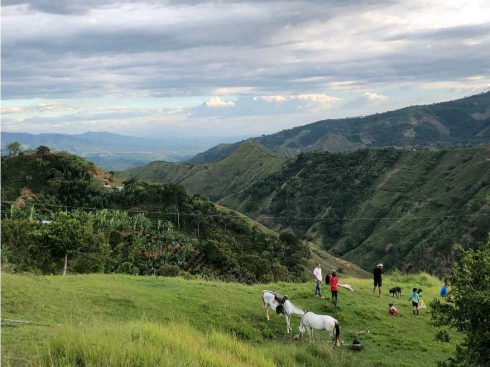 FINCA CAFETERA EN VENTA BELÉN DE UMBRÍA (RISARALDA) - 1