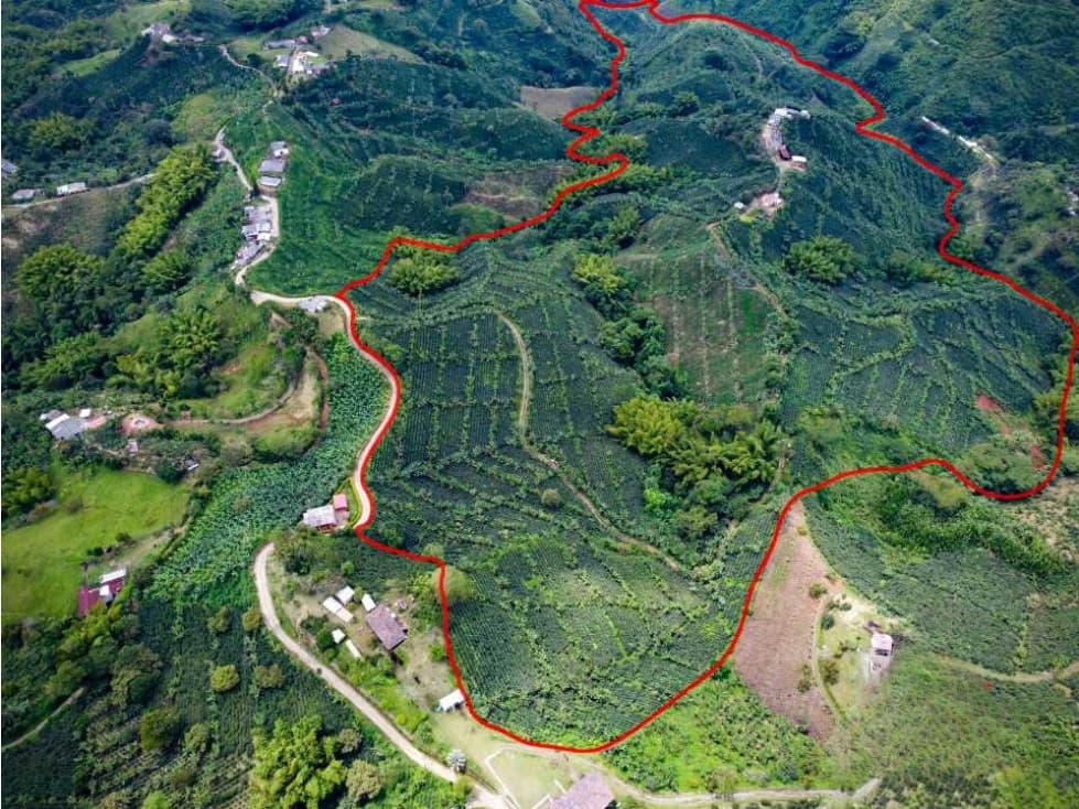 Finca cafetera y tecnificada en Santa Rosa de Cabal - 1