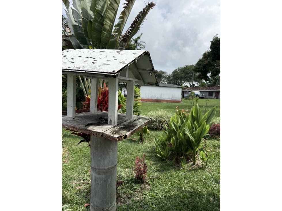 FINCA DE ALTISIMA PRODUCTIVIDAD CAFE Y PLÁTANO EN QUIMBAYA - 1