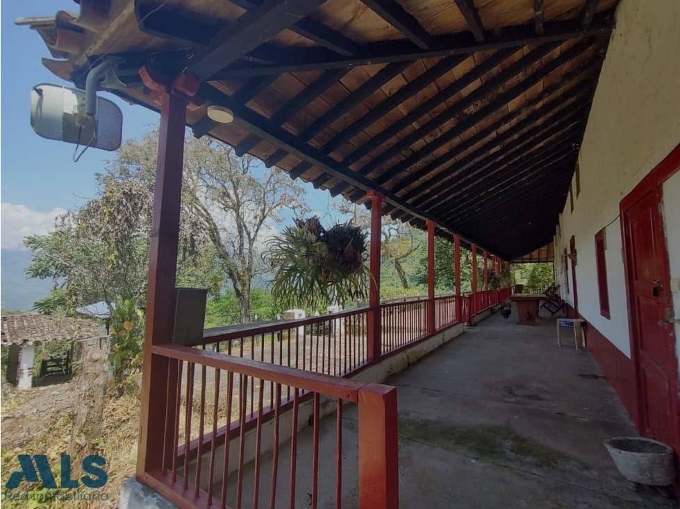 Finca de cítricos ubicada en Fredonia con especta...(MLS#247882) - 1