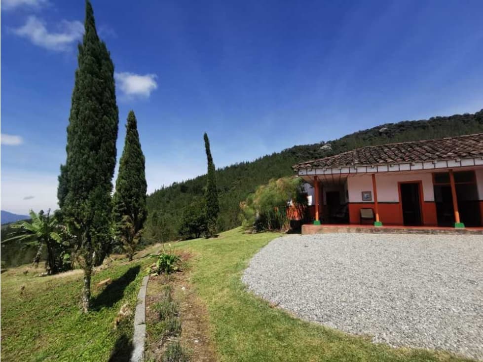 ¡¡FINCA EN PACORA AGUACATERA CON CERTIFICACIONES PARA EXPORTACION!! - 1