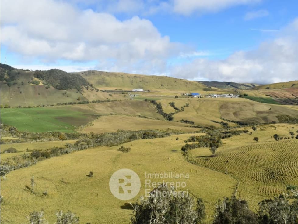 Finca en venta Alto de letras, Herveo. Tolima. - 1
