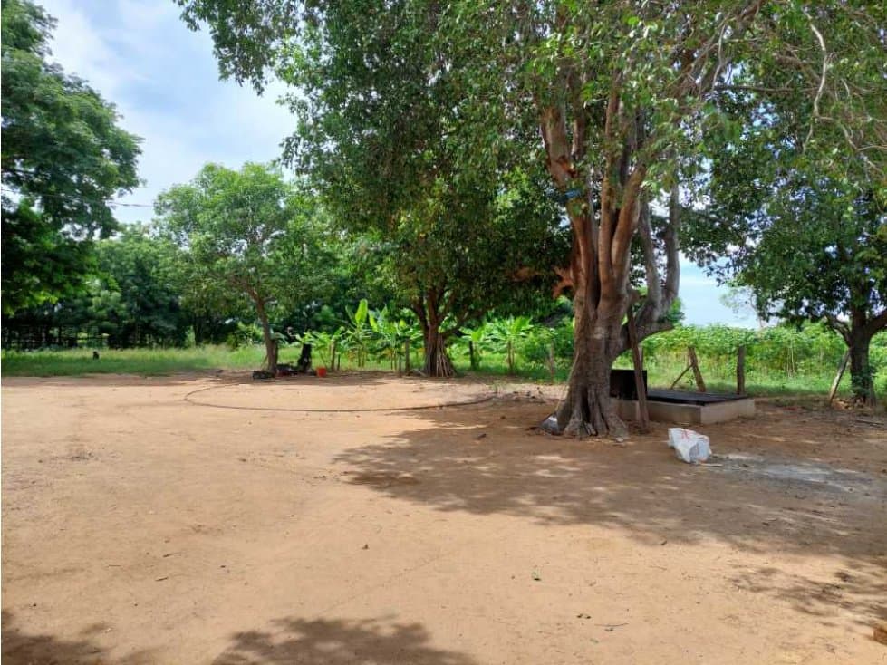 Lote en Venta cerca al aeropouerto Valledupar - 1