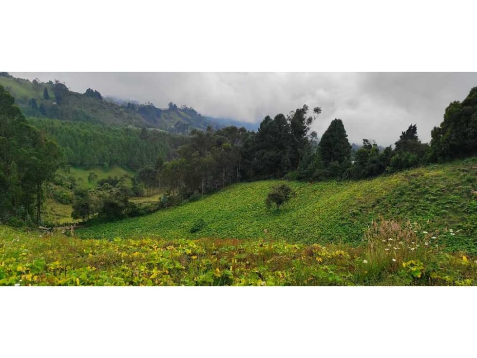 Finca en venta en zipacon - 1