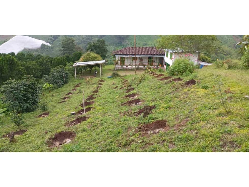 FINCA EN.SEVILLA.DE 12 CUADRAS - 1