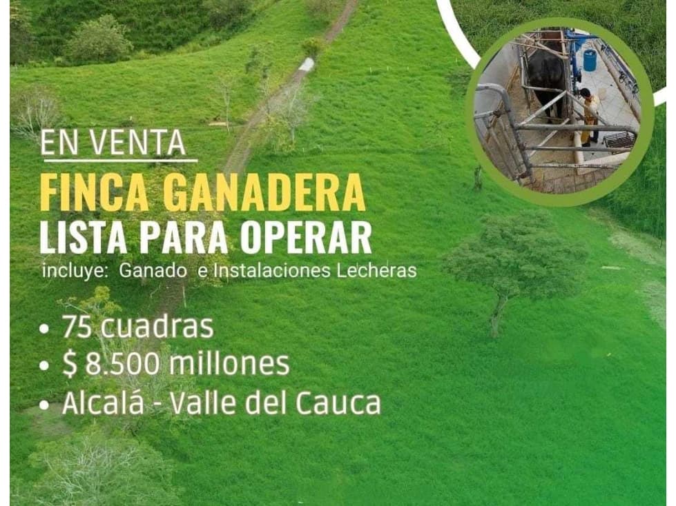 FINCA GANADERA 75 CUADRAS - 1