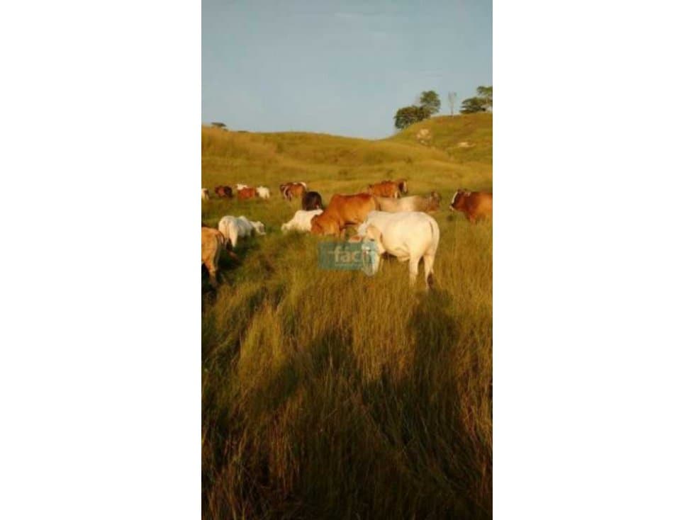 Finca 100% hecha muy cerca a Puerto Berrio junto a Ruta del Sol - 1