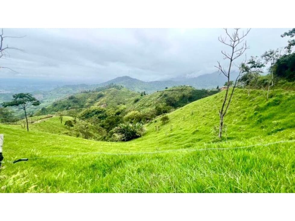 FINCA LOTE EN VENTA O PERMUTA EN CÓRDOBA, QUINDÍO IDEAL PARA GLAMPING - 1