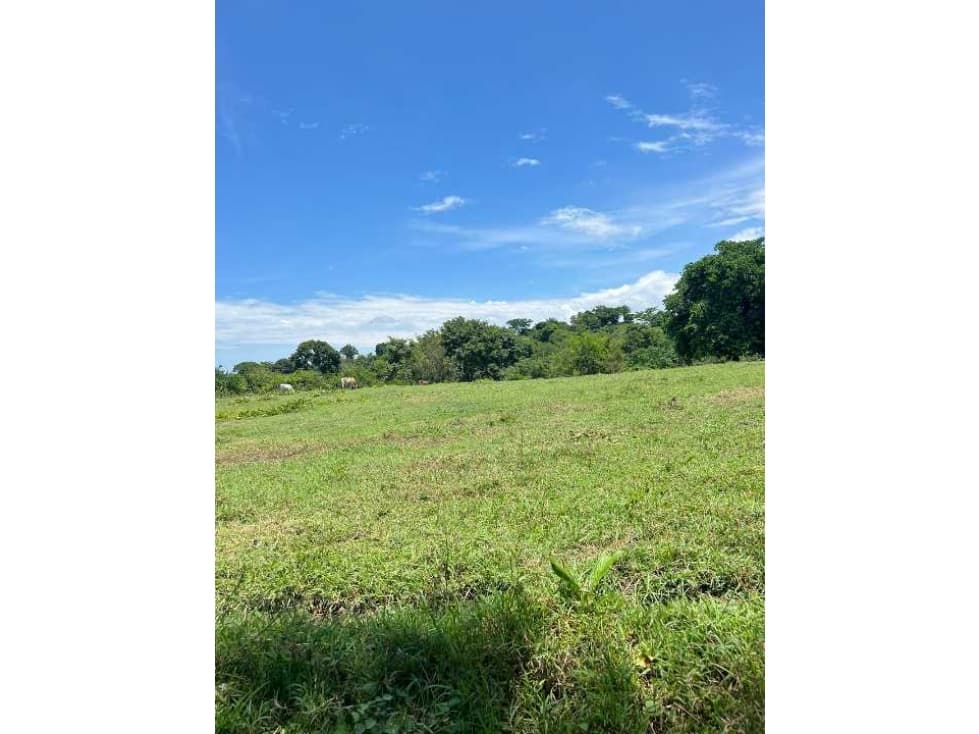 Finca organizada de 47 hectáreas, planta solar, tucurinca( magdalena) - 1