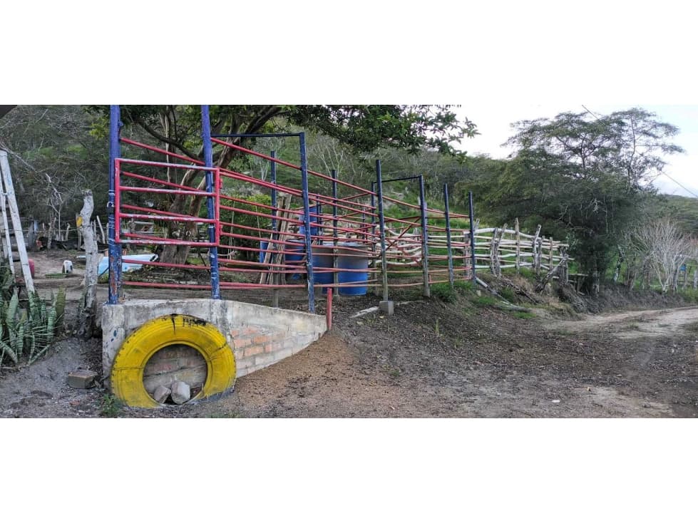 Finca Para la Venta en Roldanillo Valle - 1