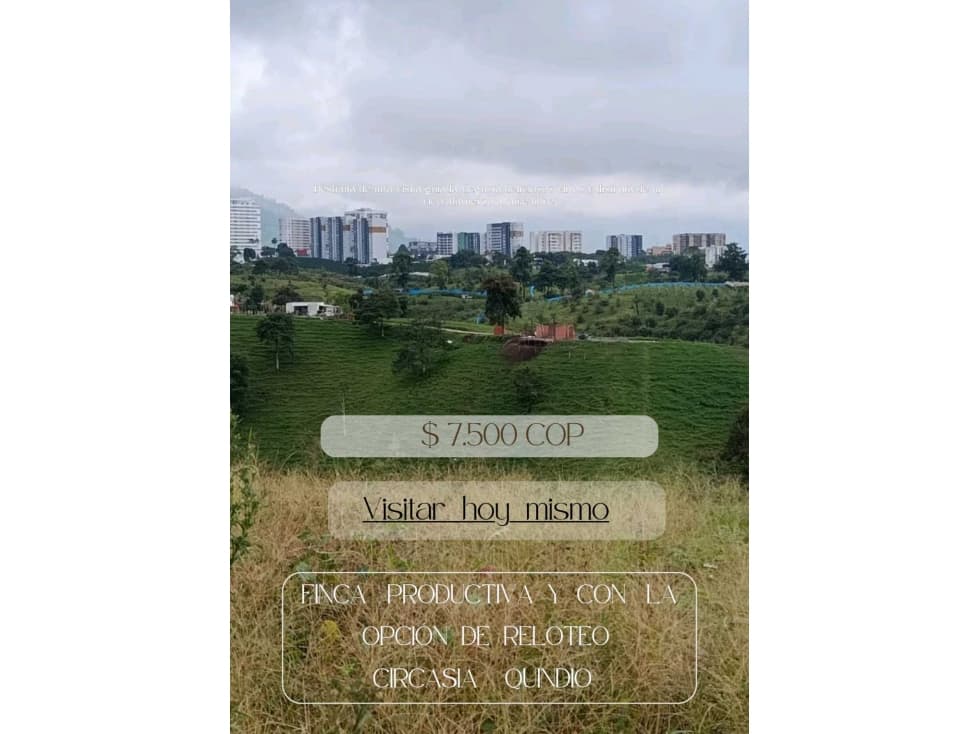 FINCA PRODUCTIVA CON LA OPCION DE RELOTEO ! - 1