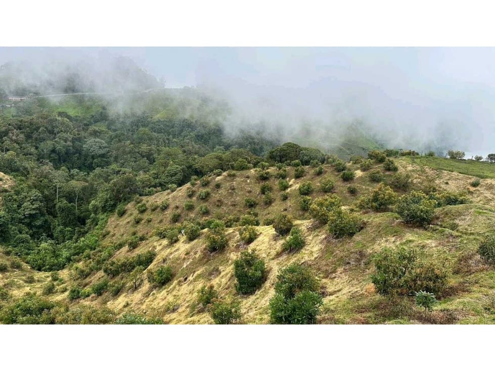 Finca Productiva Fresno Tolima - 1