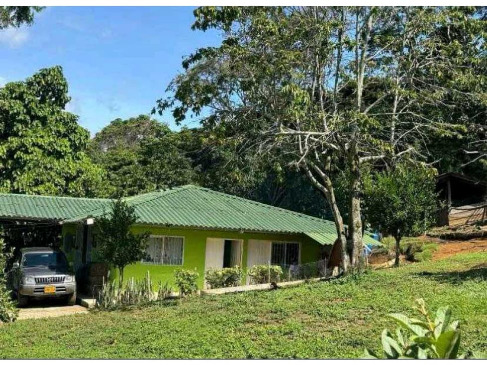 Finca Productiva Vereda Urita Mariquita Tolima - 1