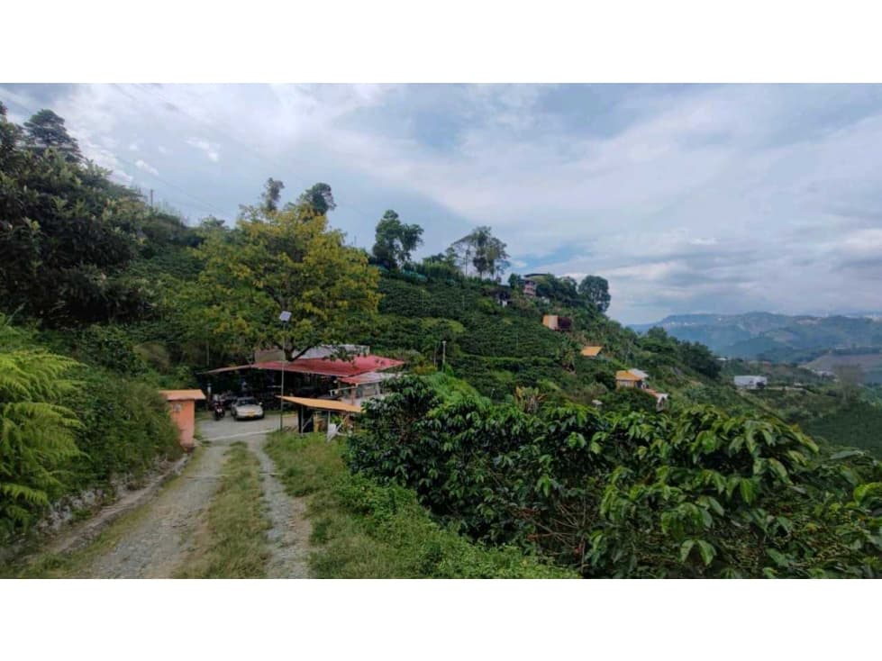 Finca Productiva y de Recreo Alto del Naranjo Manizales - 1