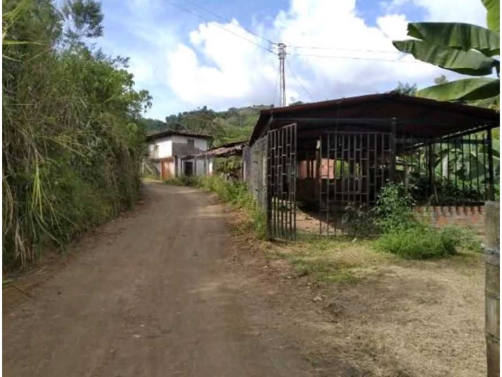 Finca Vereda Aguacatal Neira Caldas - 1