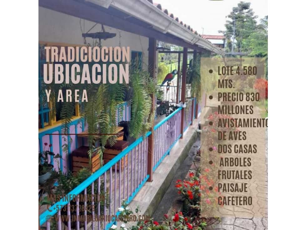 FINCA PEQUEÑA A 10 MINUTOS DE TEBAIDA - 1