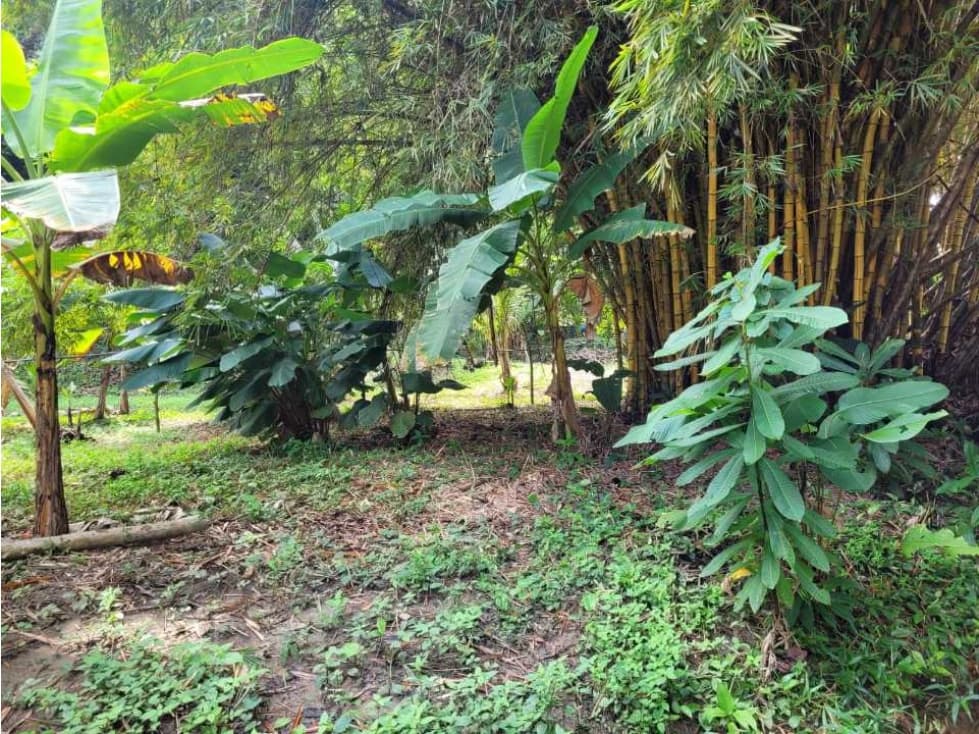 Hermosa finca con vista al mar. Santa Marta. - 1