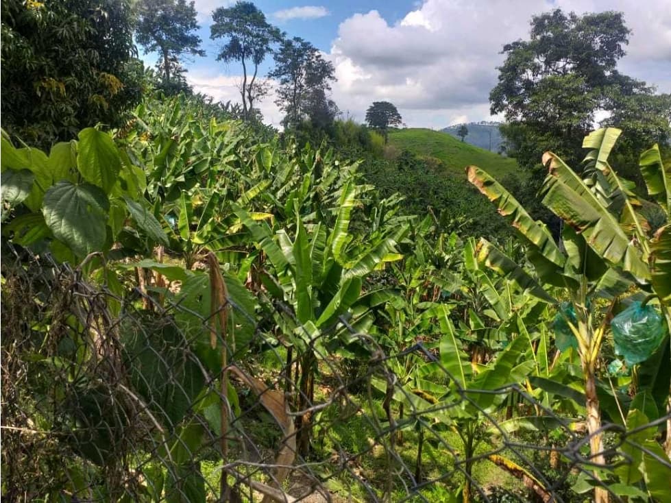 Hermosa finca en producción Mixta via Marsella-Risarálda - 1