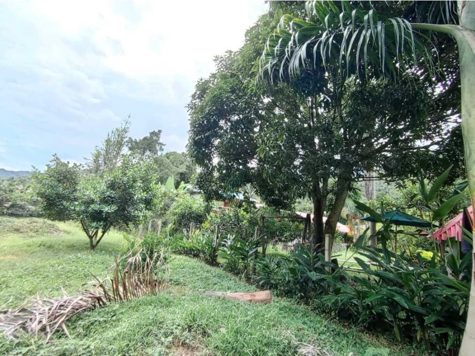 HERMOSO LOTE EN VENTA CON AGUA LUZ Y GAS NATURAL PACHO C/MARCA - 1